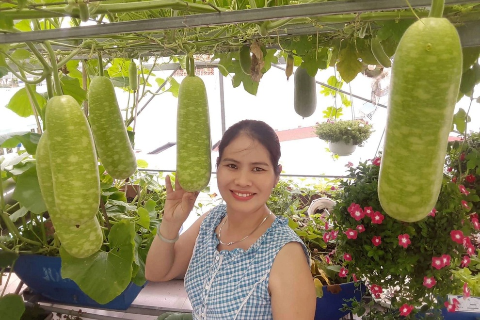 Mẹ đảm TPHCM chia sẻ bí kíp tập làm nông dân sở hữu vườn rau sân thượng - 1 Mẹ đảm TPHCM chia sẻ bí kíp tập làm nông dân sở hữu vườn rau sân thượng - 1