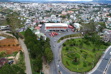 Hút hồn du khách với sắc tím hoa Mua tại đồi Robin Đà Lạt