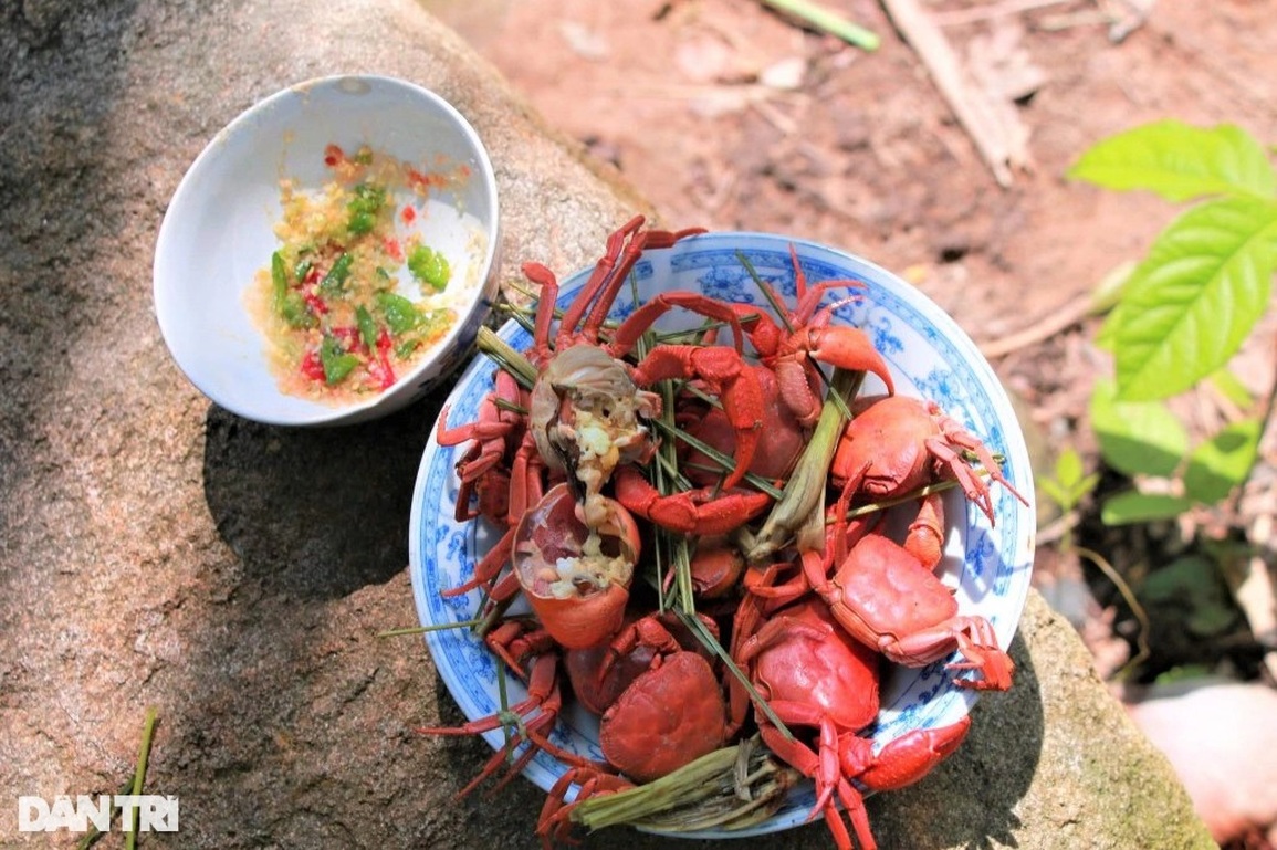 Anh nông dân tiết lộ tuyệt chiêu bắt cua núi Cấm kiếm bộn tiền mỗi ngày - 7 Anh nông dân tiết lộ tuyệt chiêu bắt cua núi Cấm kiếm bộn tiền mỗi ngày - 7