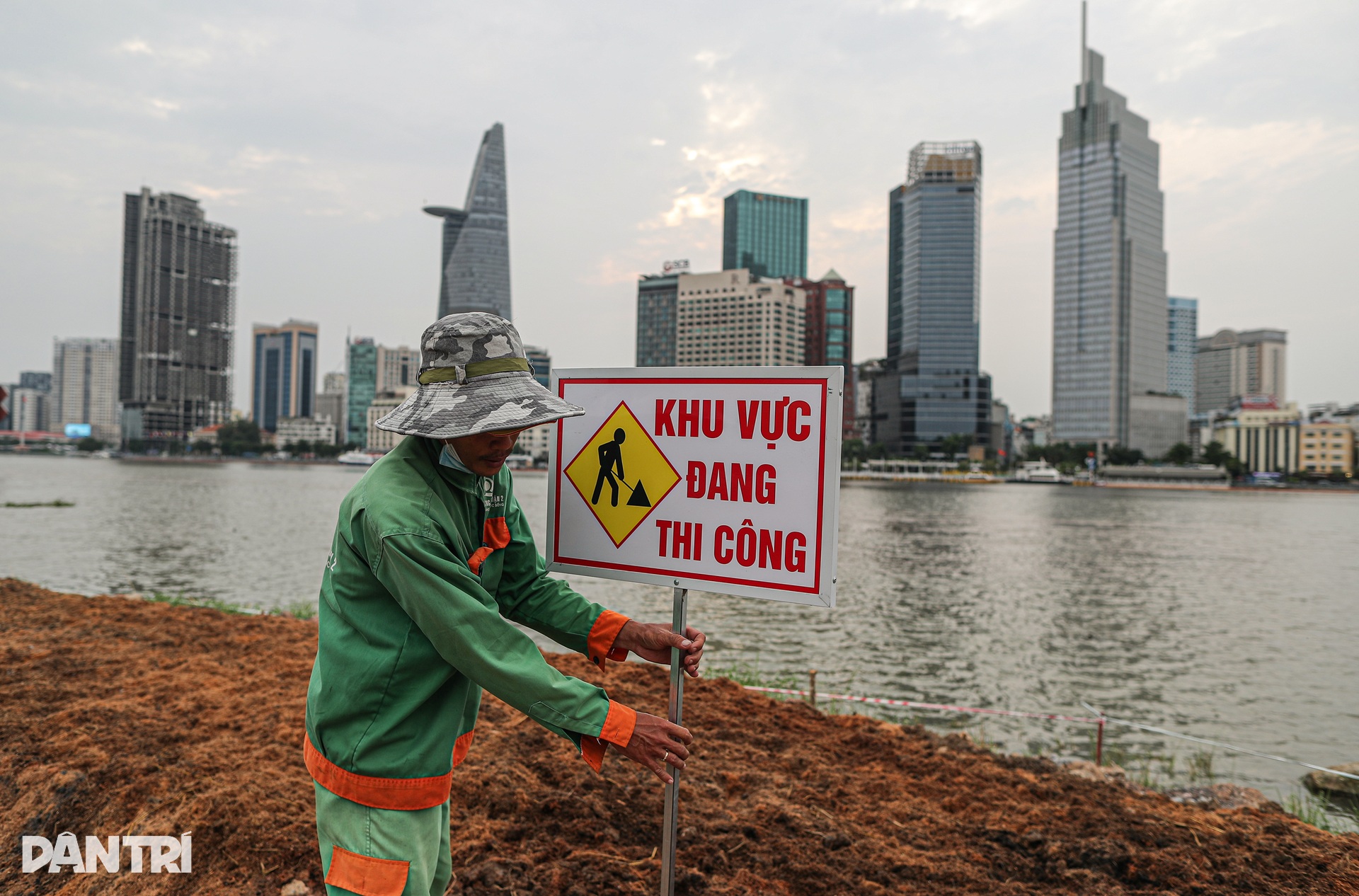 Tất bật trồng 15.000 cây hướng dương ở bờ sông Sài Gòn - 3 Tất bật trồng 15.000 cây hướng dương ở bờ sông Sài Gòn - 3