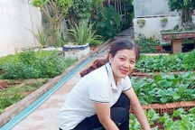 Mẹ đảm ở Đắk Lắk trồng đủ loại rau xanh trong khu vườn 20m2