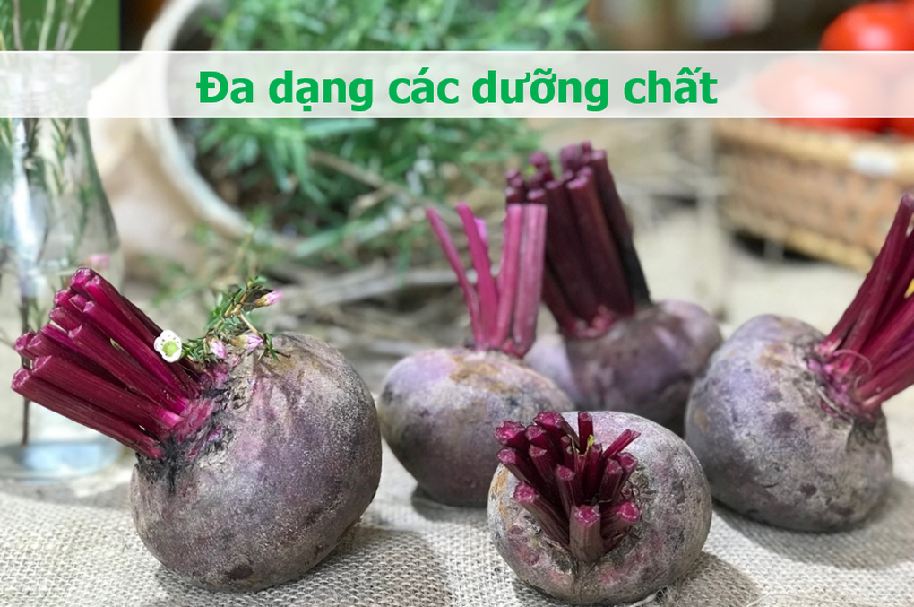 Loại củ xấu xí bán đầy chợ Việt là siêu thực phẩm với người nước ngoài - 1 Loại củ xấu xí bán đầy chợ Việt là siêu thực phẩm với người nước ngoài - 1