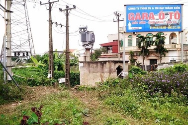 Công ty điện lực thông tin vụ người dân bị điện giật chết khi đi hái rau