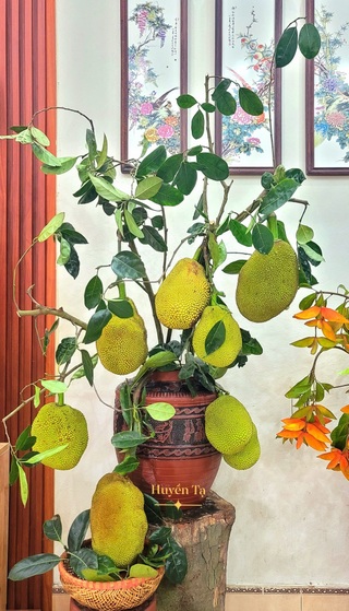 Cô giáo gây sốt với bình quả từ nguyên liệu “xin dọc đường” - 9