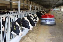 "Cuộc chiến" ngành sữa: So găng Vinamilk, Mộc Châu Milk, IDP và Hanoimilk