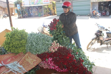 Cận ngày lễ tình nhân, hoa Đà Lạt "cháy hàng"