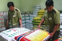 Phó Thủ tướng Trương Hòa Bình chỉ đạo xử lý  nghiêm sai phạm quản lý phân bón