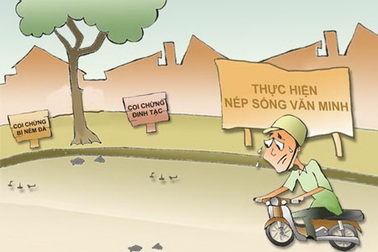 Cây đinh, cục đá, mạng người và lỗi văn hóa