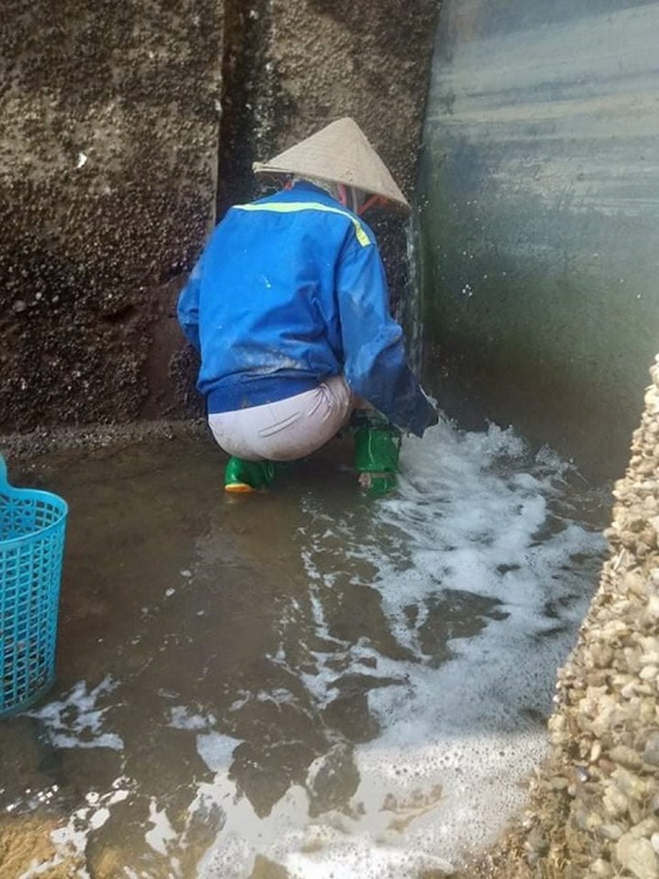 Mất việc vì Covid-19: Lễ tân du thuyền hạng sang đi mò cua bắt ốc - 2 Mất việc vì Covid-19: Lễ tân du thuyền hạng sang đi mò cua bắt ốc - 2
