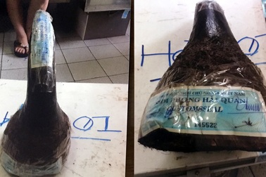 Hà Nội: Cán bộ hải quan "cá kiếm" 3 tỷ đồng nhờ đánh tráo ngà voi, sừng tê tang vật