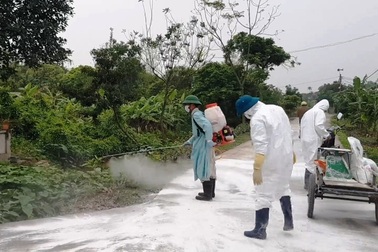 Phát động tuần lễ tiêu độc khử trùng dịch tả lợn châu Phi