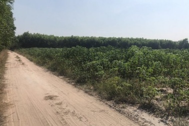 Bất động sản Nhơn Trạch có "nóng" như tin đồn?