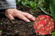 Bệnh nhi nhiễm "vi khuẩn ăn thịt": Cảnh giác nơi mầm bệnh thường ẩn nấp