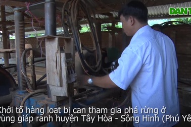 Hàng loạt đối tượng bị khởi tố vì phá rừng già