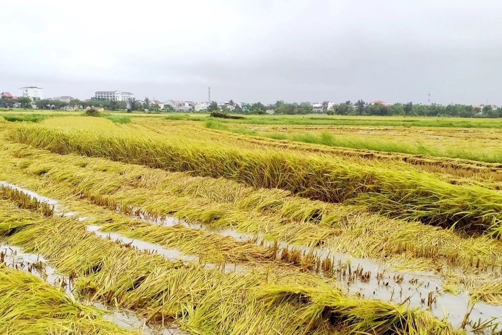 Nhiều tỉnh ven biển ra lệnh giới nghiêm trước giờ bão Conson đổ bộ - 2