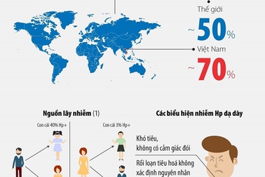 Nhiễm vi khuẩn Hp dạ dày: Hậu quả và giải pháp