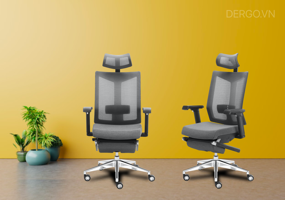 Work From Home cùng nội thất sức khỏe D’ERGO - 3