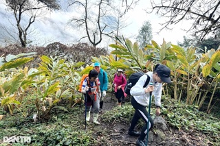 Ngủ đêm trong rừng, dậy từ 3h để "săn" bình minh ở độ cao gần 3.000m - 8