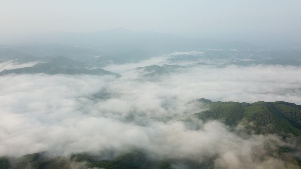 Mây giăng kín như bồng lai tiên cảnh trên đỉnh Giăng Màn - 8 Mây giăng kín như bồng lai tiên cảnh trên đỉnh Giăng Màn - 8