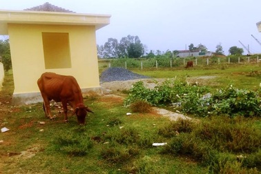 Nghệ An: Chợ mới xây dở dang, người dân “liều mình” tràn ra quốc lộ để buôn bán!