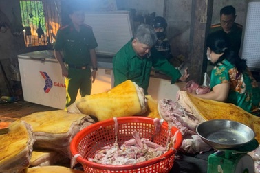 Phát hiện cơ sở thu gom gần 800kg thịt nhiễm dịch tả lợn châu Phi