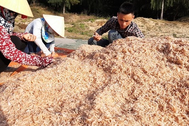 Ngư dân xứ Thanh trúng đậm "lộc biển" những ngày cuối năm