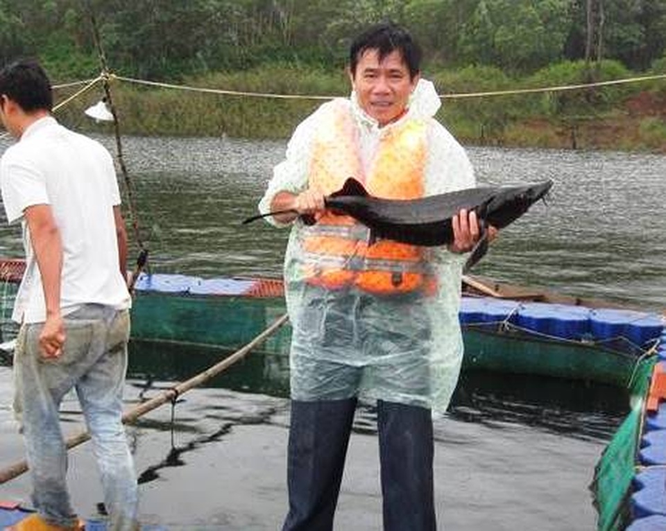 Người đàn ông đánh liều nuôi đàn cá “ngàn đô” trên Cao Nguyên - 2 Người đàn ông đánh liều nuôi đàn cá “ngàn đô” trên Cao Nguyên - 2