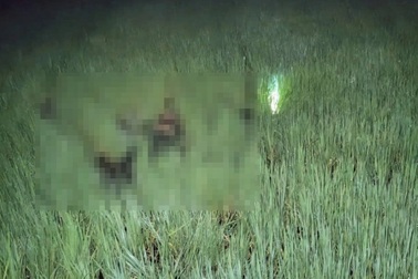 Ông lão bị khởi tố vì mắc điện bẫy chuột khiến 2 người tử vong