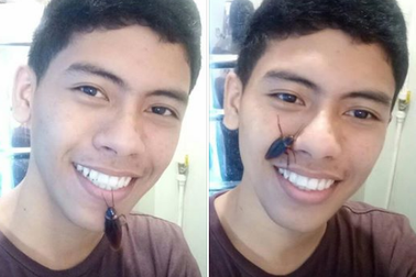 Khiếp đảm trào lưu chụp ảnh tự sướng với gián trên mặt