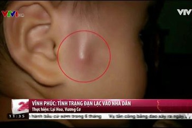 Hàng trăm hộ dân ở Vĩnh Phúc sống trong nỗi lo đạn “lạc”