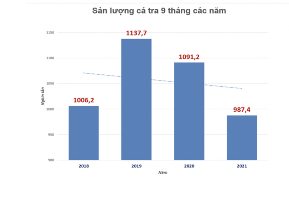 Nguy cơ gãy đổ chuỗi sản xuất, cung ứng cá tra - 1 Nguy cơ gãy đổ chuỗi sản xuất, cung ứng cá tra - 1