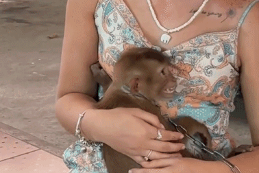 Khách Tây khóc hết nước mắt trải nghiệm kiểu giải trí "tàn nhẫn" ở Thái Lan