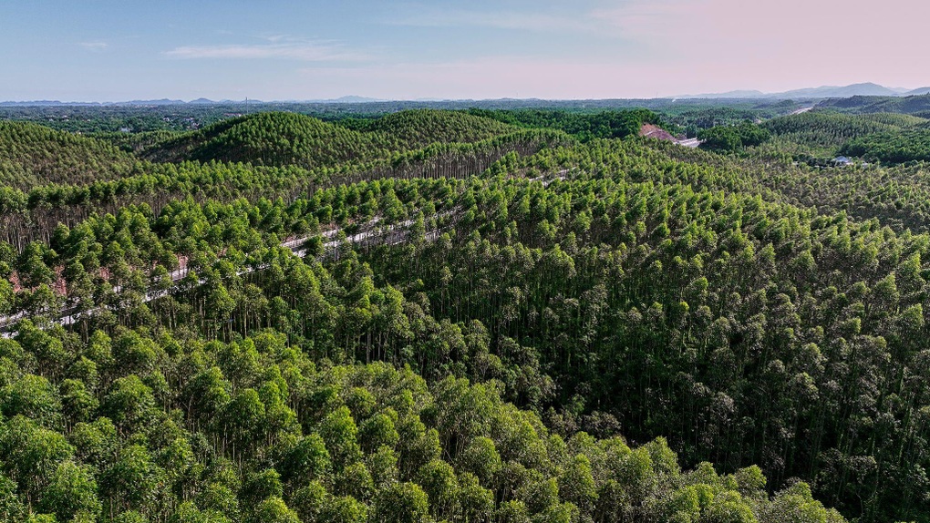 Ngắm tuyến cao tốc có hệ thống chiếu sáng hiện đại do Sun Group đầu tư - 9