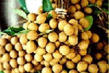 Nhãn Hưng Yên đăng ký thương hiệu