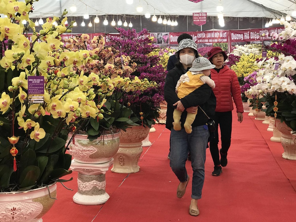 Hà Nội: Quất, mai, lan, đào đua nhau chở mùa xuân xuống phố - 3 Hà Nội: Quất, mai, lan, đào đua nhau chở mùa xuân xuống phố - 3