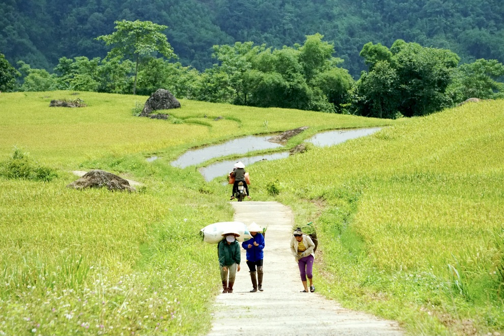 Du lịch Thanh Hóa nín thở chờ thời cơ - 5 Du lịch Thanh Hóa nín thở chờ thời cơ - 5