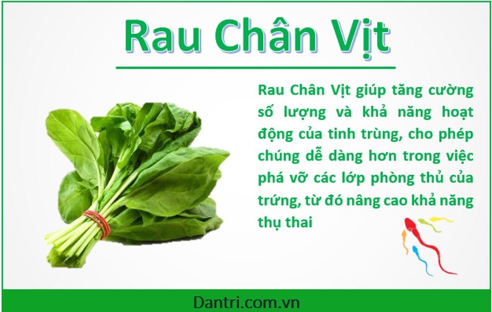 Top 10 thực phẩm giúp các chàng tăng cường số lượng tinh trùng - 7 Top 10 thực phẩm giúp các chàng tăng cường số lượng tinh trùng - 7