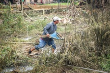Người dân leo bụi tre gom mảnh vỡ máy bay Su 22 rơi ở Quảng Nam