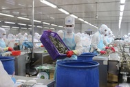 Xuất khẩu thủy sản bứt tốc nhờ tôm, dự kiến đạt hơn 12 tỷ USD năm 2026