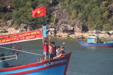 Ngư dân Bình Định xuất quân khai thác hải sản