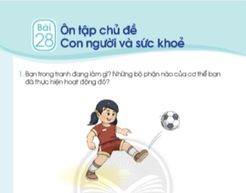 Băn khoăn vì nhiều đứa trẻ không có chỗ trong sách giáo khoa mới? - 1 Băn khoăn vì nhiều đứa trẻ không có chỗ trong sách giáo khoa mới? - 1