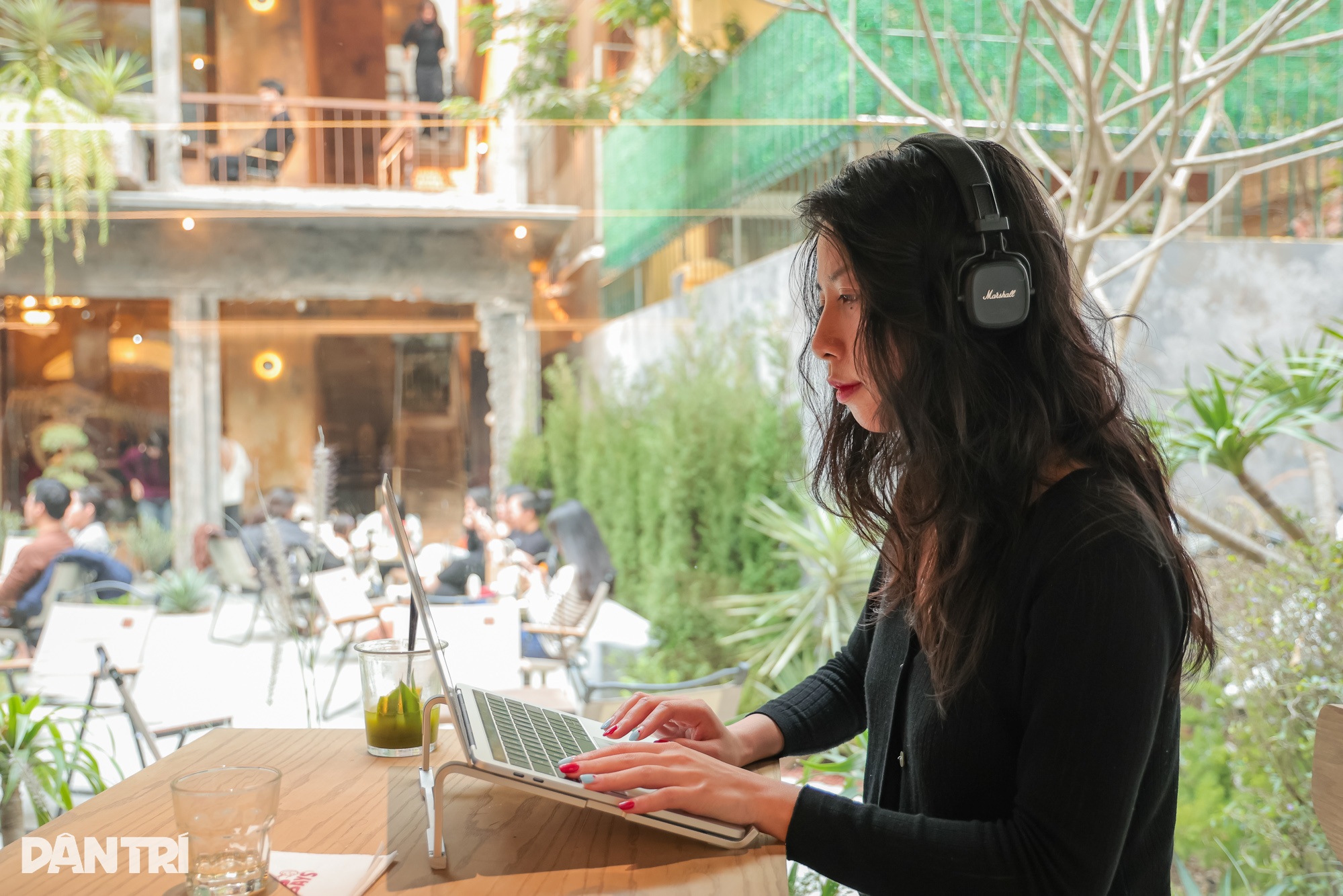 View - Hà Nội: Quán cà phê trưng bày xương "khủng long", ngày đón gần nghìn khách | Báo Dân trí