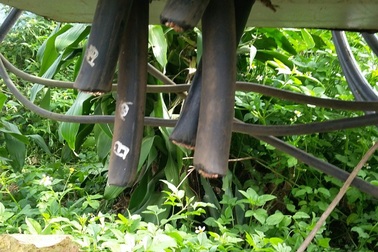 400 hộ dân bị mất điện vì 32m dây điện