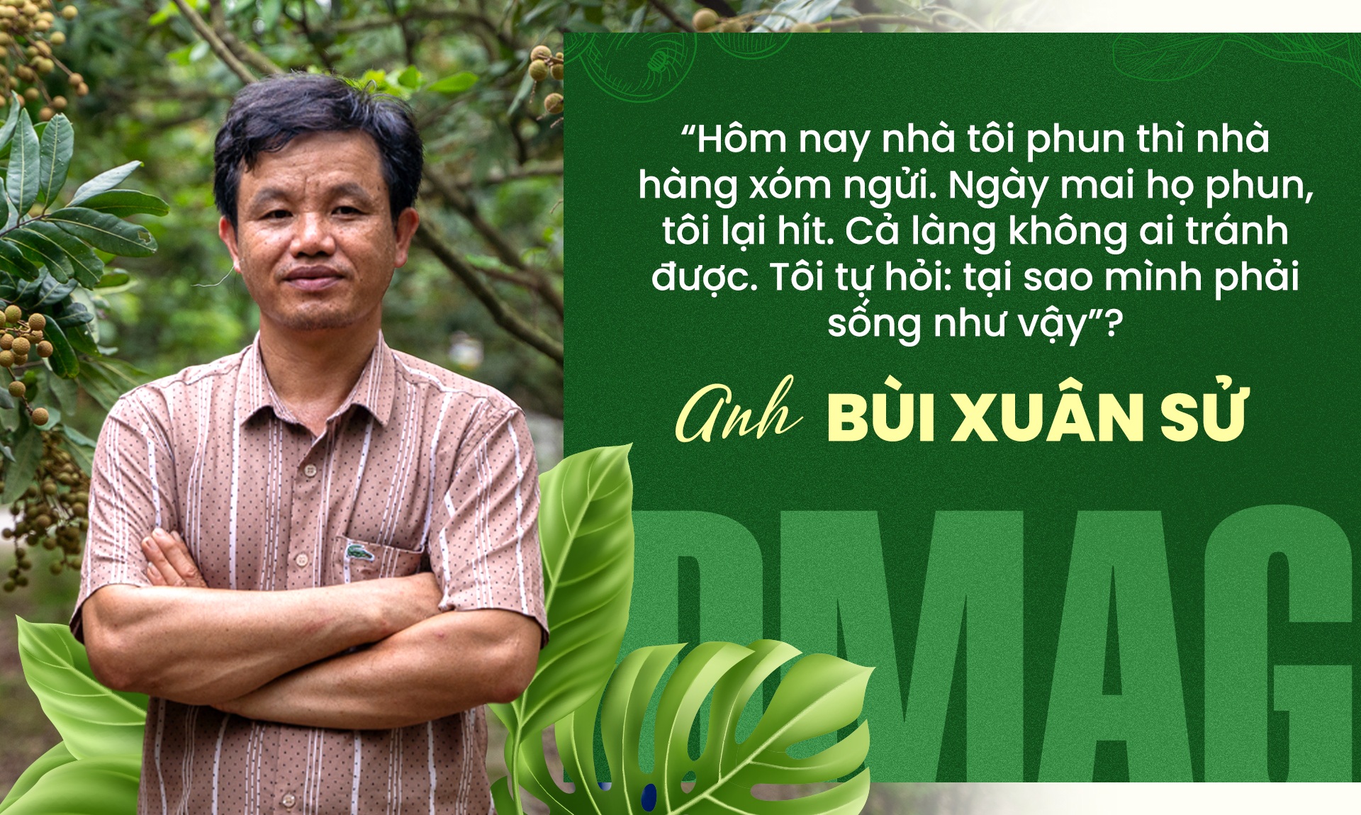 Trái ngọt của anh nông dân “khùng” bắt nhãn ăn cá, uống dịch chuối - 5 Trái ngọt của anh nông dân “khùng” bắt nhãn ăn cá, uống dịch chuối - 5