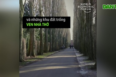 Thành phố trong mơ - nơi người dân thỏa thích ăn trái cây miễn phí