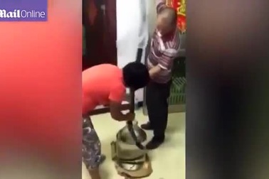 Đôi vợ chồng nhét con rắn độc còn sống vào ngâm rượu