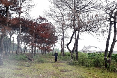 Bắt tạm giam Trưởng ban quản lý rừng phòng hộ Bắc Biển Hồ