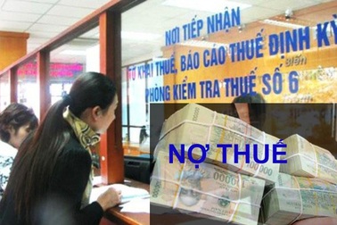 Quốc hội: Tình trạng trốn thuế, lậu thuế lớn chưa được khắc phục triệt để