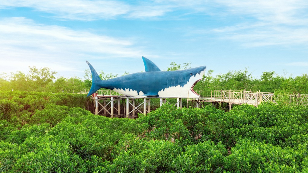 Hành trình khám phá rừng ngập mặn Dragon Mangrove Forest tại Hải Phòng - 3 Hành trình khám phá rừng ngập mặn Dragon Mangrove Forest tại Hải Phòng - 3