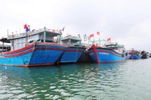 5 tàu cá tắt thiết bị giám sát hành trình bị phạt gần 780 triệu đồng